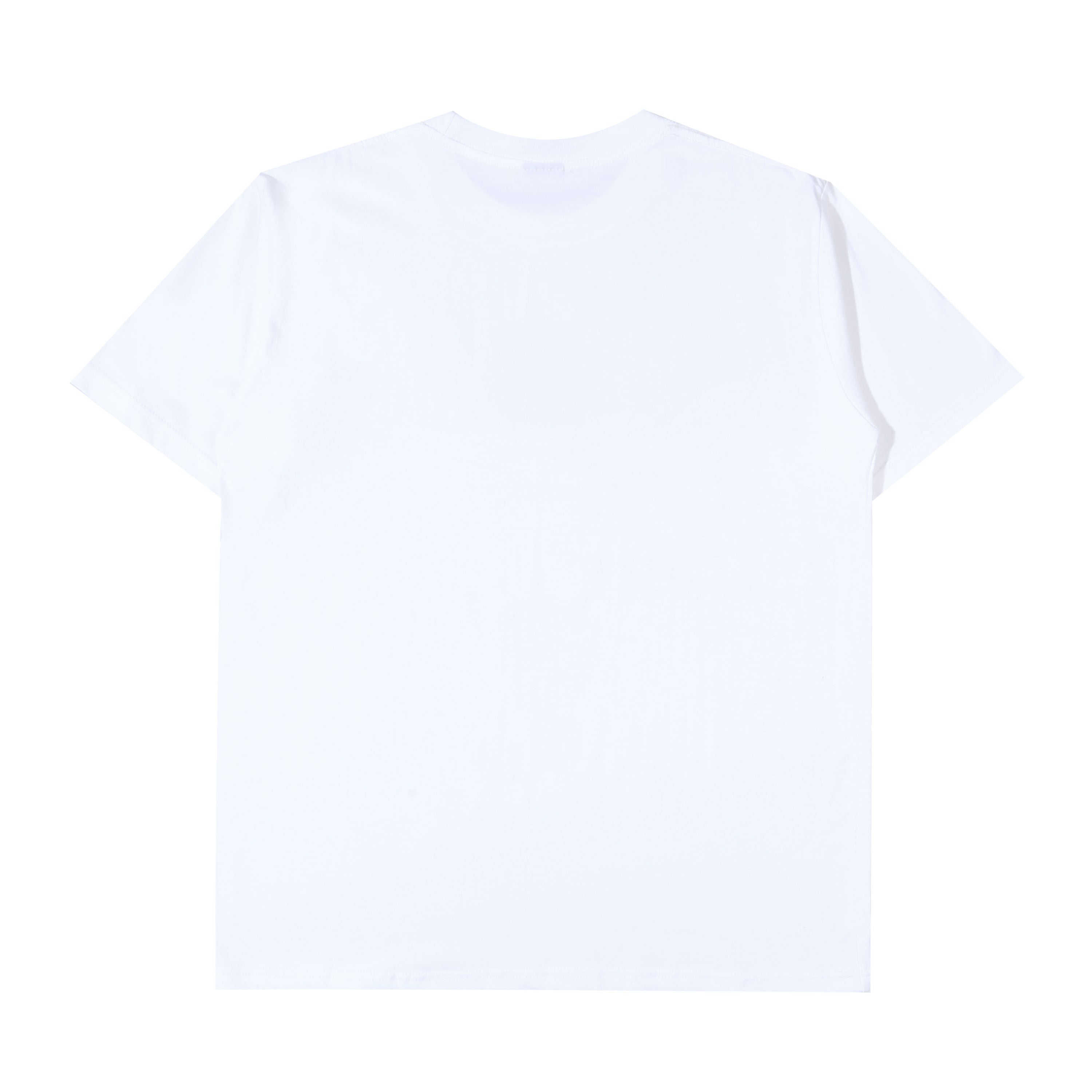 Tale of The Land - Journey - T-shirt - Broken White