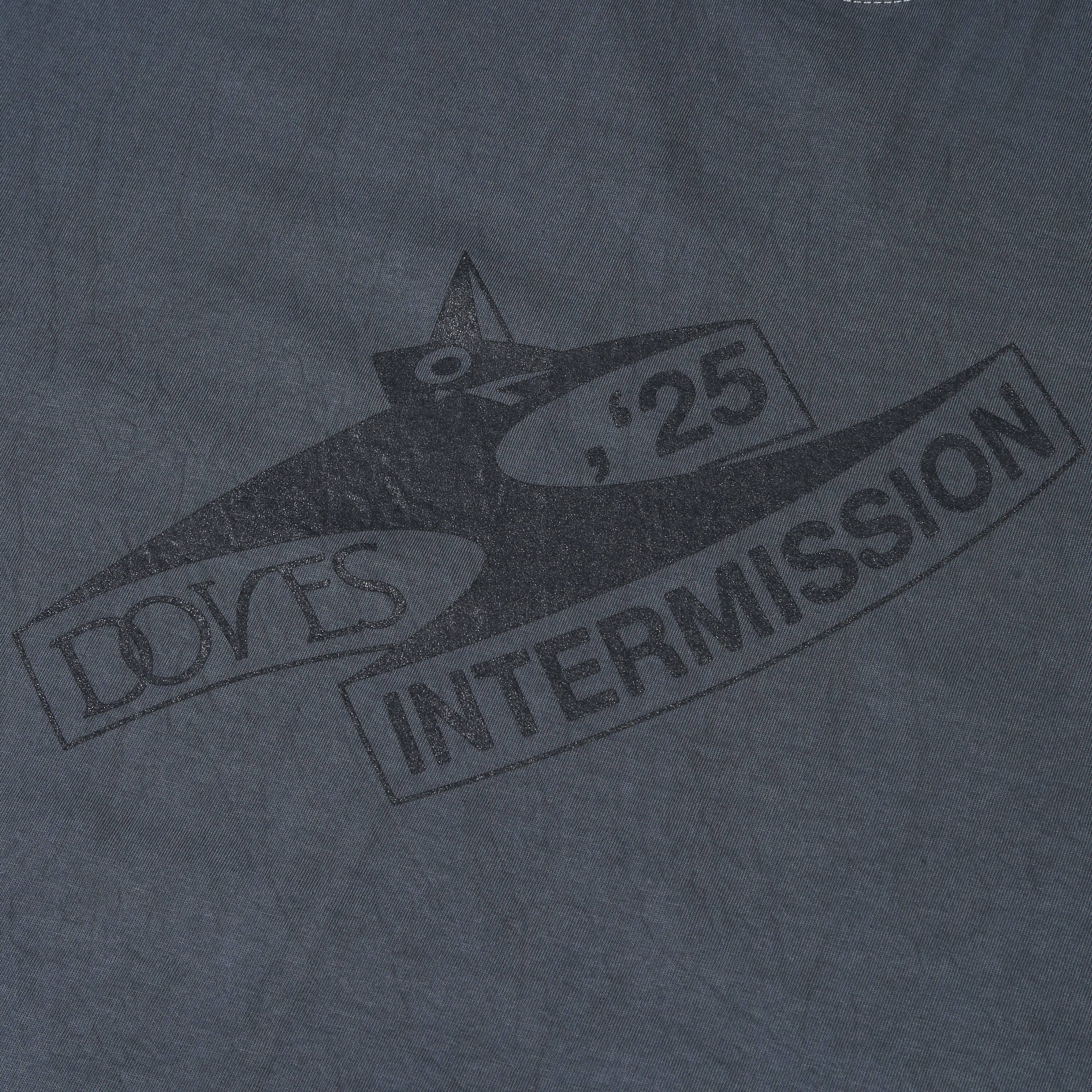 Hindia - Intermission Pigment Dyed - T-shirt - Grey