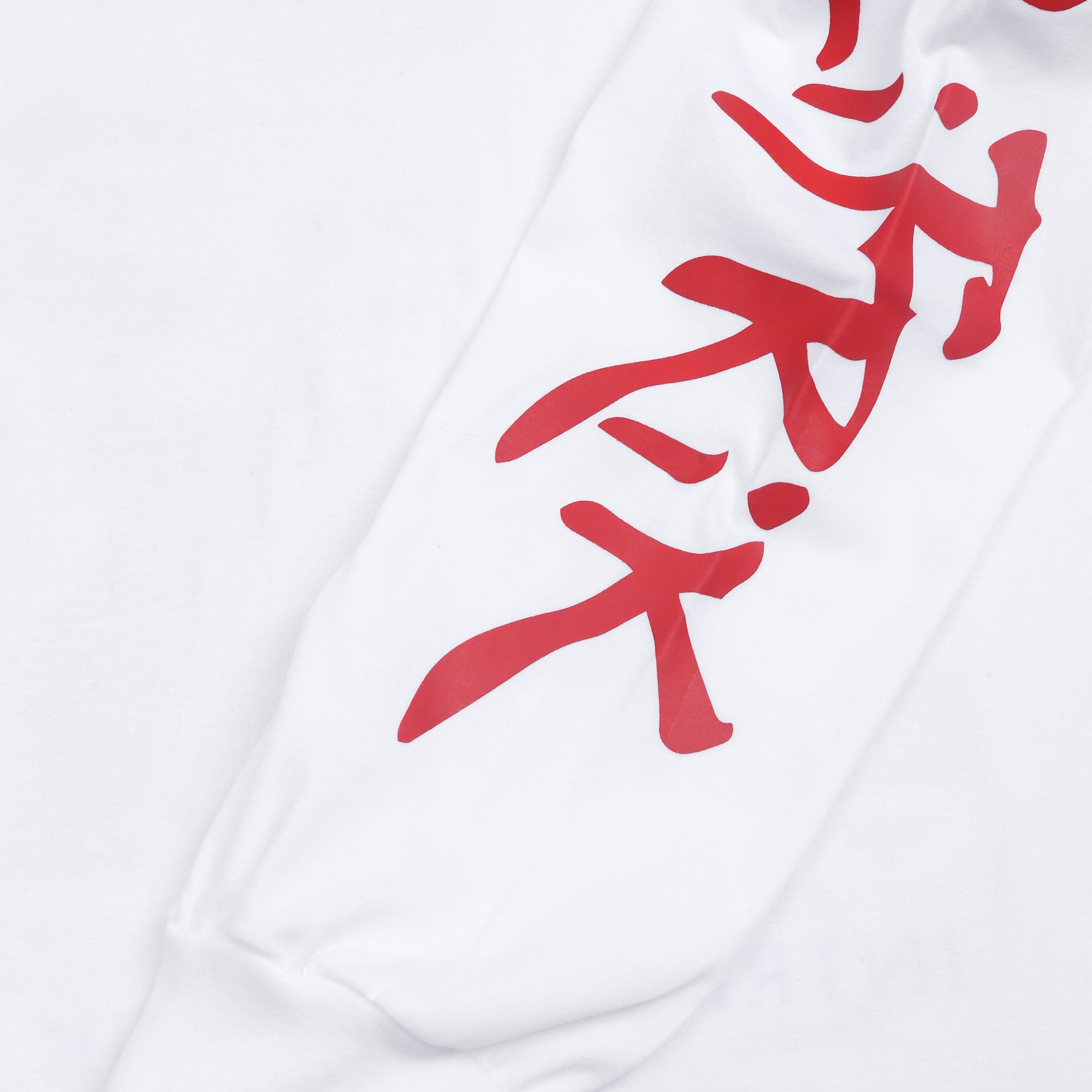 .Feast - Politrik MV Longsleeve - T-shirt - White