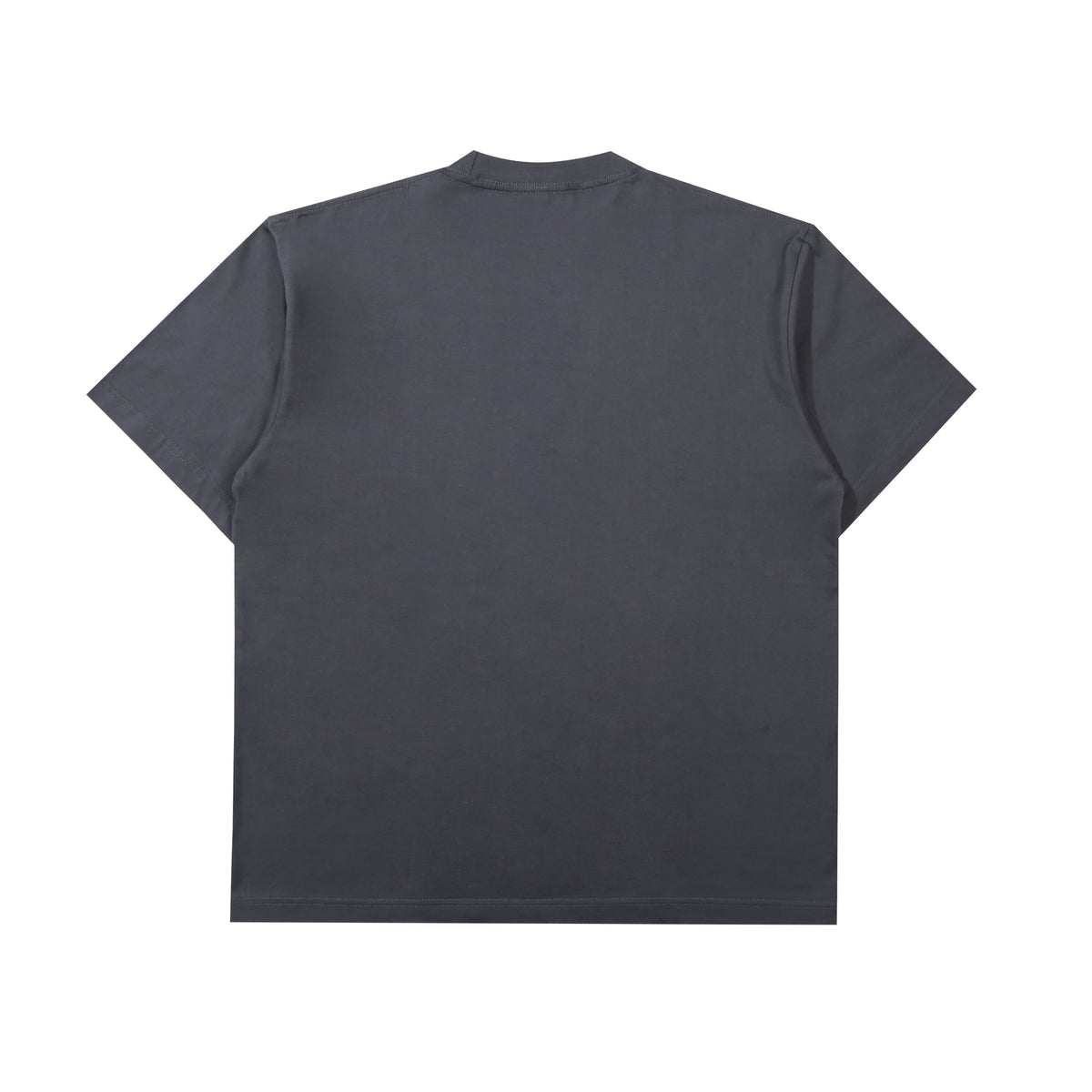 .Feast - Corrosive - T-Shirt - Regular - Grey-2