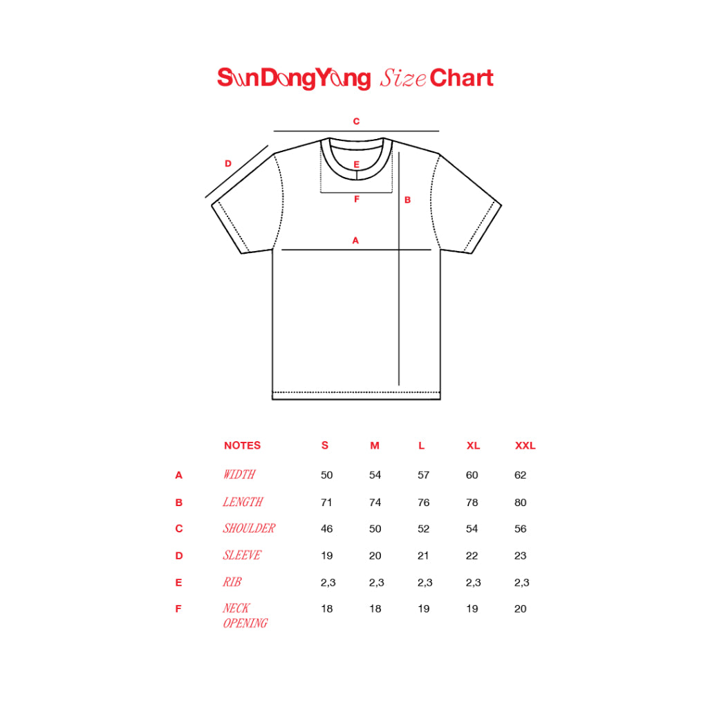 Rayhan Noor - 24/7 Pop 2023 T-shirt — size chart